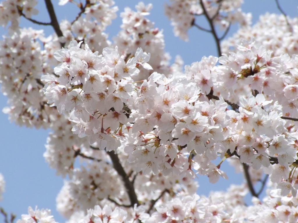 ホテル メープル有馬 神戸市 エクステリア 写真